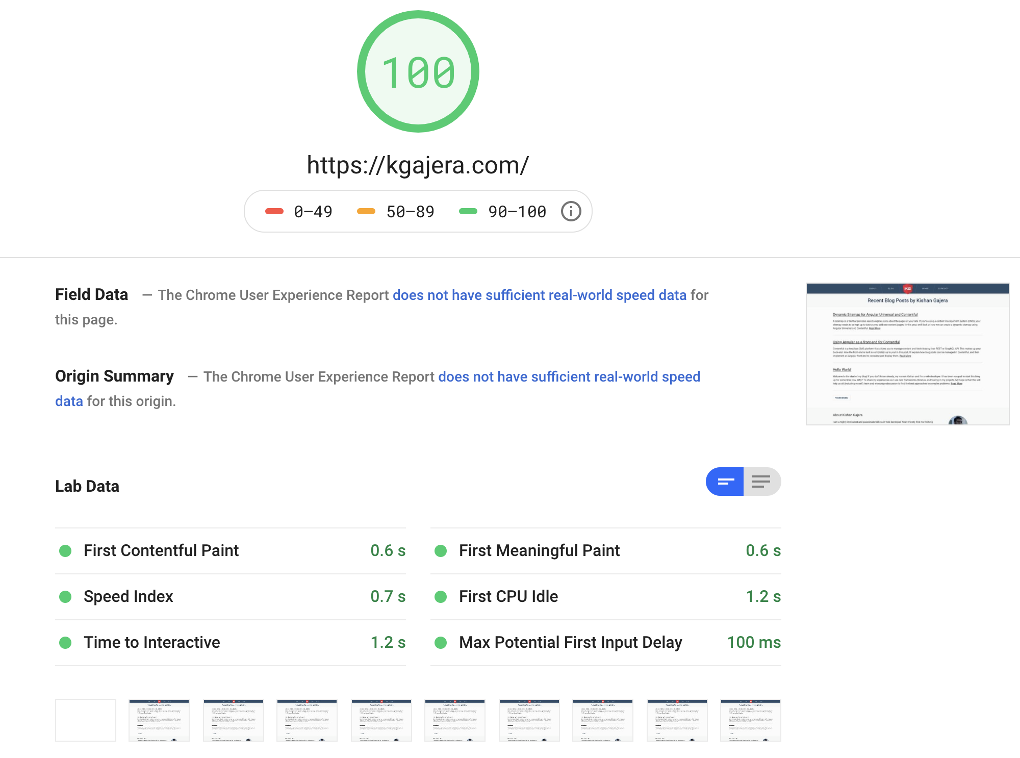 PageSpeed Insights After